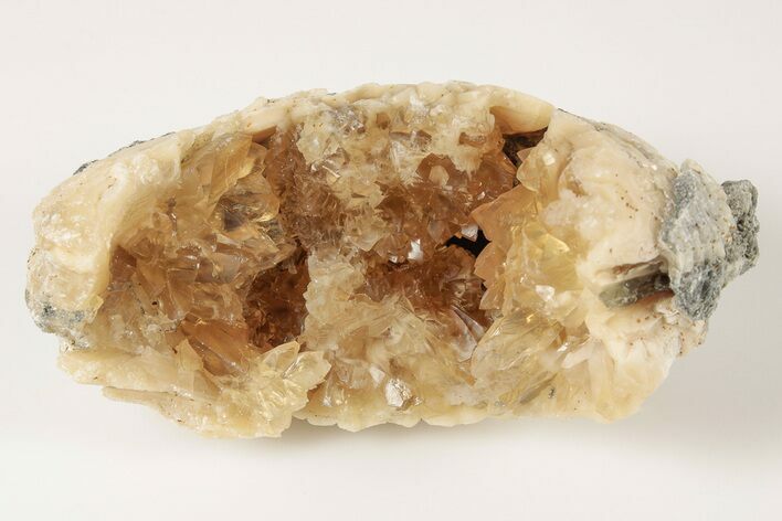 Partial Fossil Clam with Fluorescent Calcite Crystals - Ruck's Pit #191770